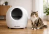 Best Automatic Litter Box for Small Cats and Kittens 2026