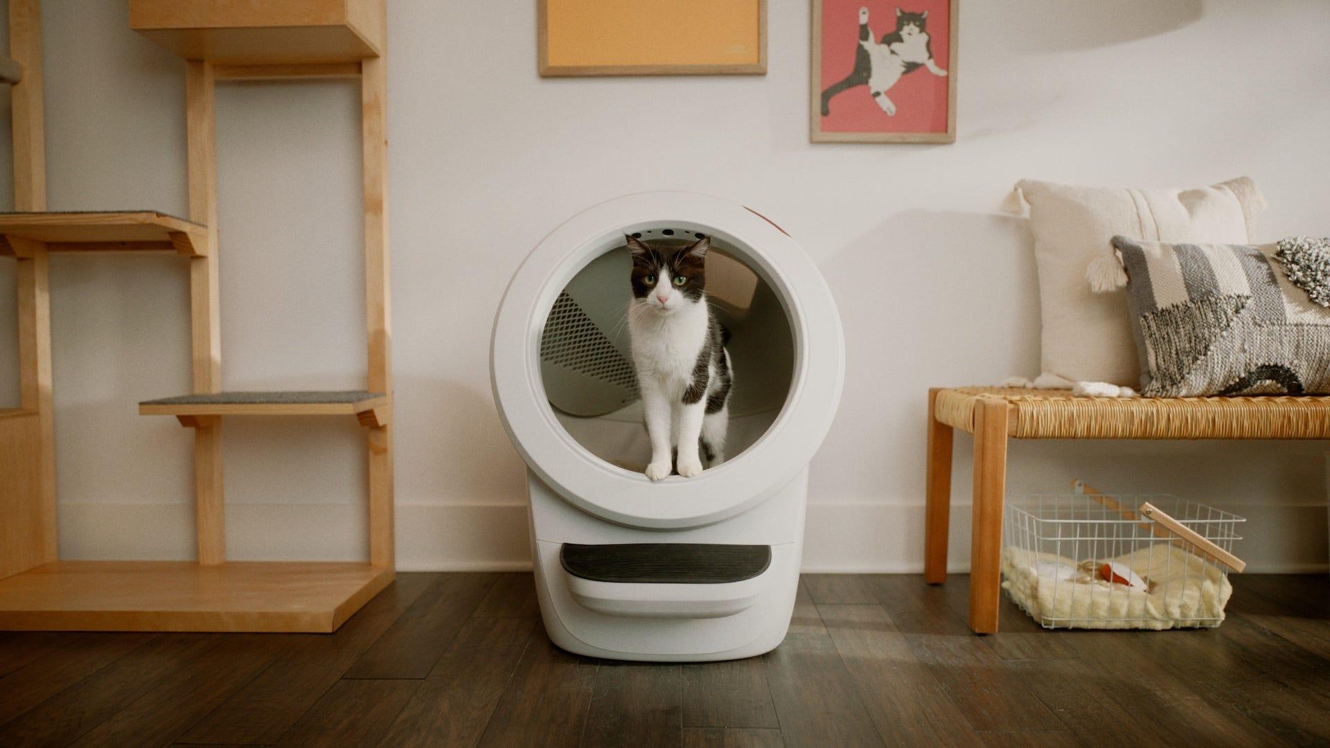 Litter-Robot 4 automatic self-cleaning cat litter box