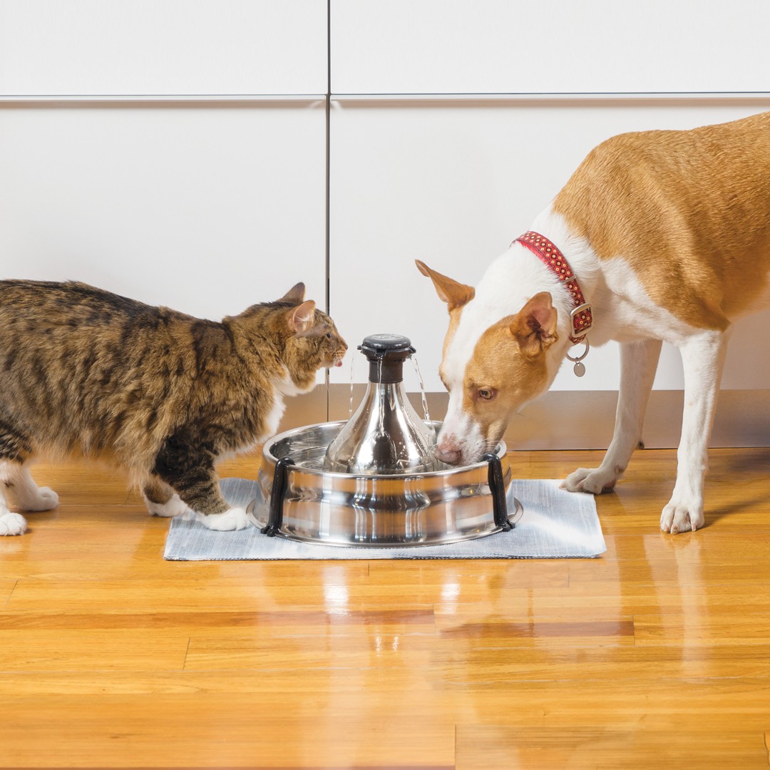 PetSafe ScoopFree Crystal Pro automatic self-cleaning cat litter box