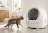 Automatic litter box sensor detection troubleshooting with a cat near the entrance